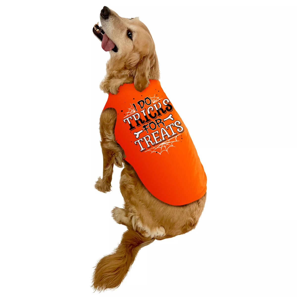 Tricks for Treats Pet Costume