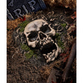 Skull Ground Covering Prop