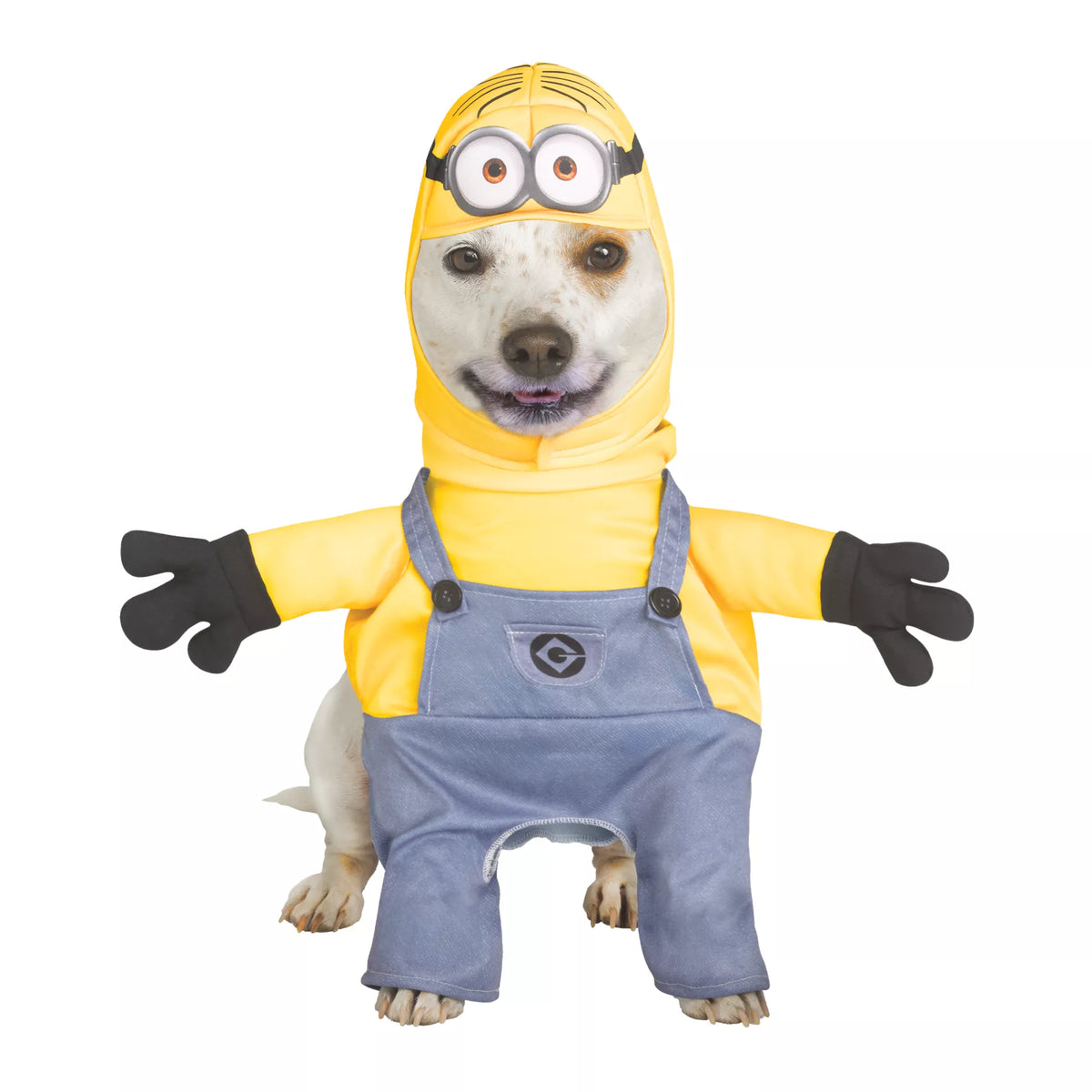 Minion Dave Dog Costume - Despicable Me