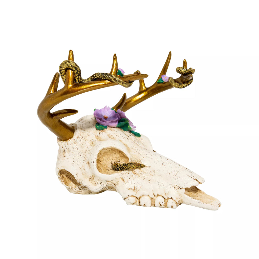 Medusa Antler Skull