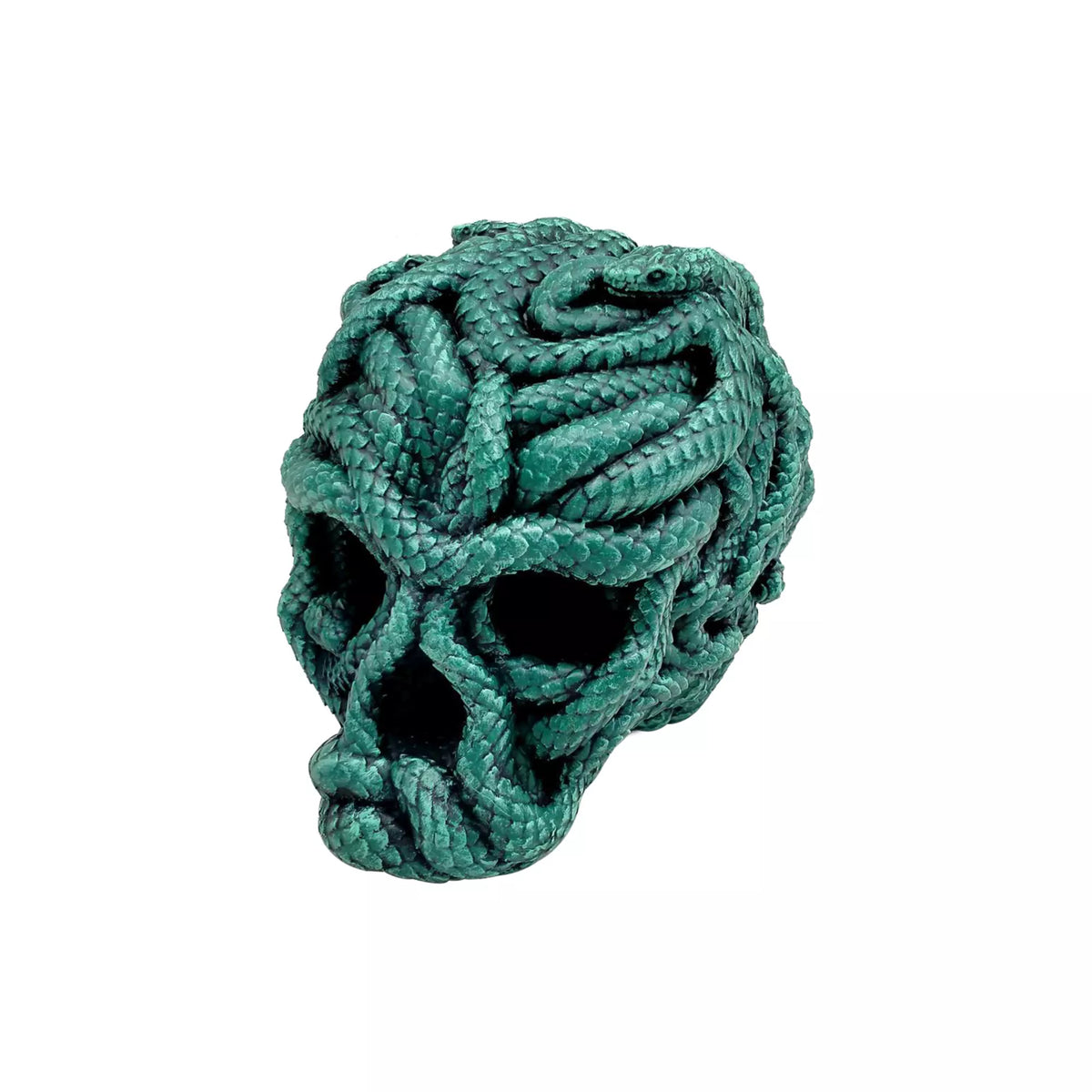 Medusa Snake Skull