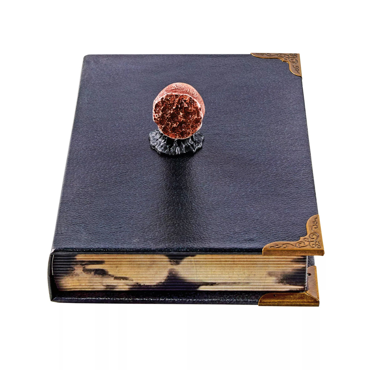 Tom Riddle's Diary Book Box - Harry Potter
