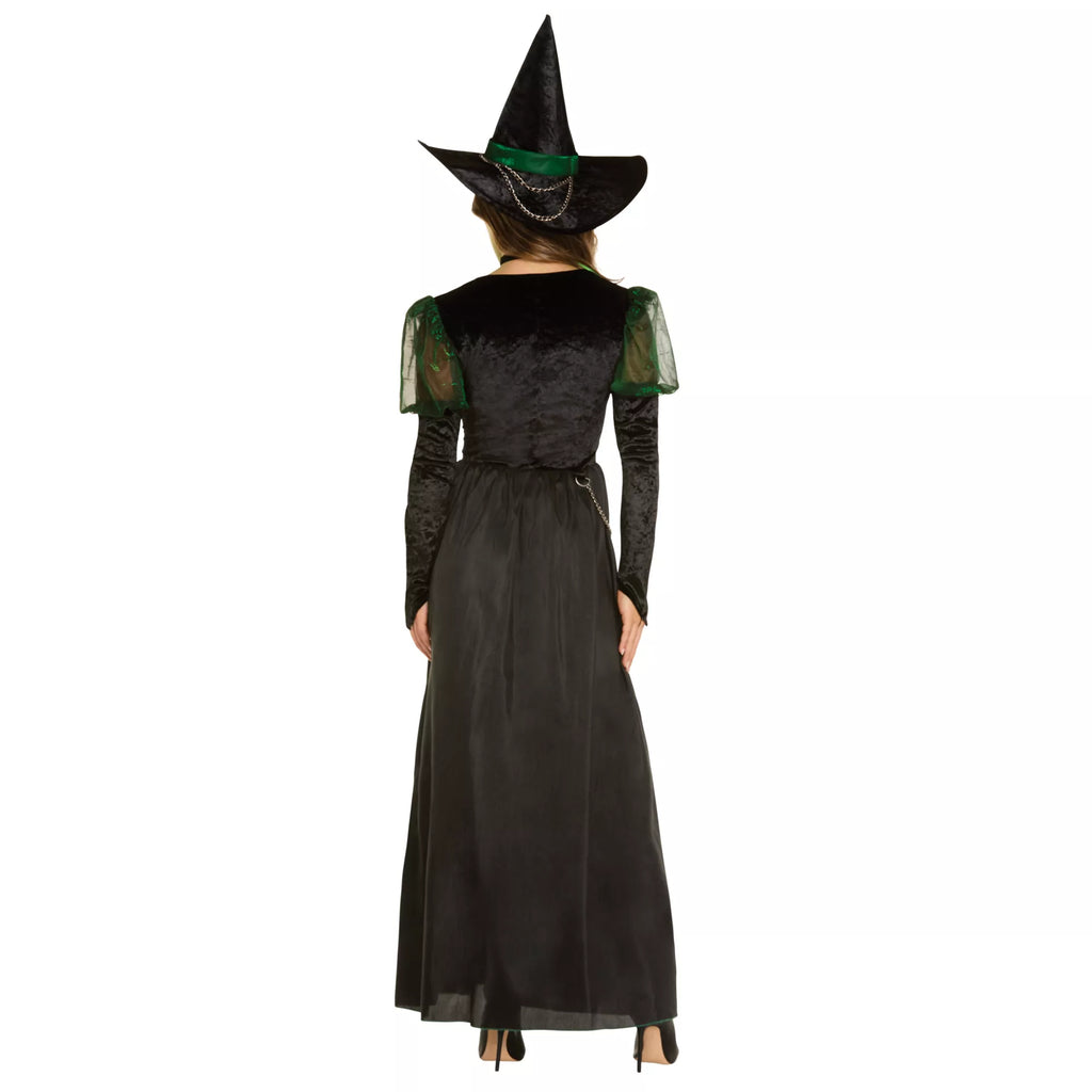 Adult Wicked Witch Costume - The Wizard of Oz